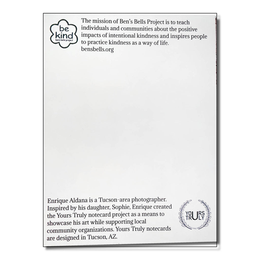 Card - Yours Truly (6 pack Assorted)