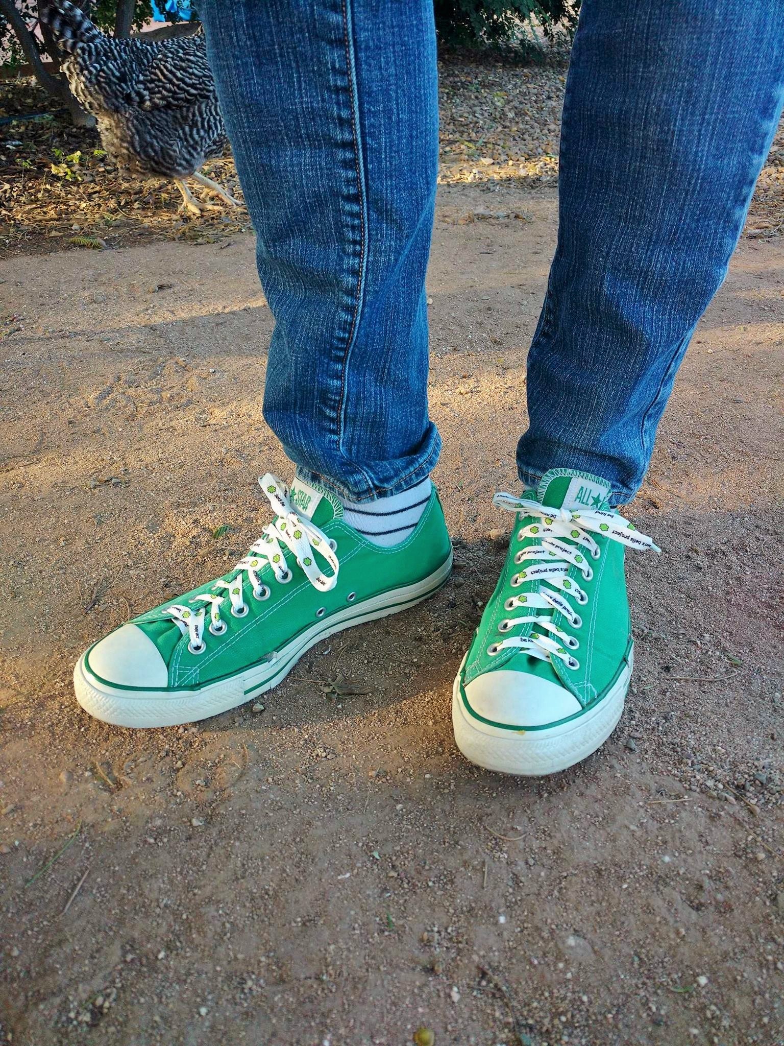 Shoelaces Adult