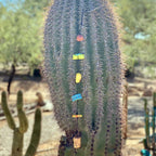 Bead String