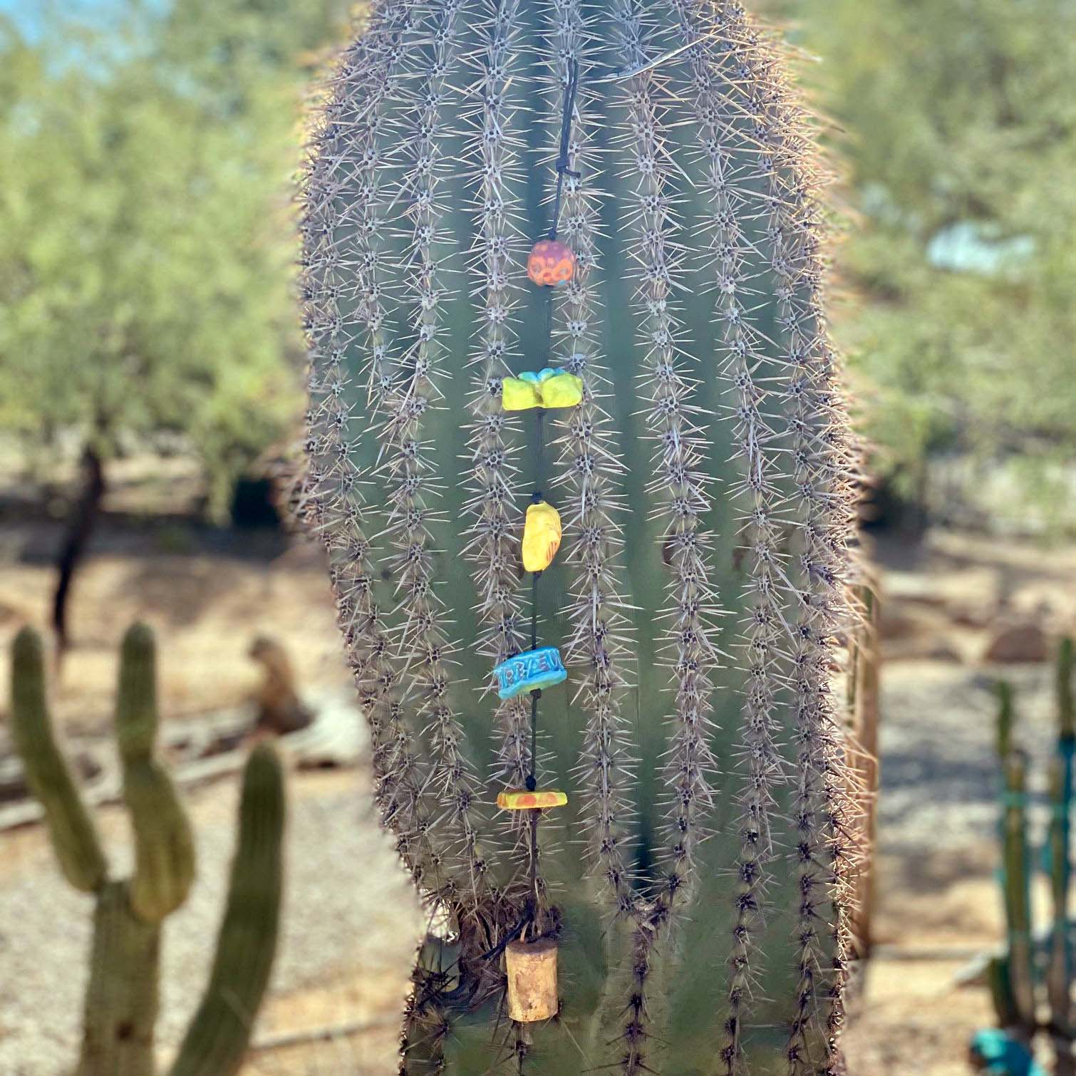Bead String