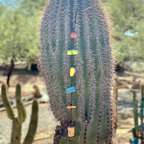 Bead String